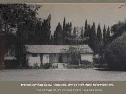 שלט תמונה